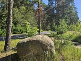Parduodamas 4 ha., rekreacinės paskirties - nuotraukos Nr. 6