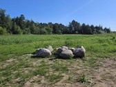 Parduodamas 4 ha., rekreacinės paskirties - nuotraukos Nr. 7