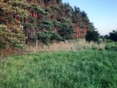 Parduodami 49m2 pamatai su 5a sklypu bendrame - nuotraukos Nr. 2