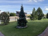 Parduodamas patogaus išplanavimo ir jaukus - nuotraukos Nr. 8