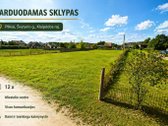 Parduodamas Sklypas Plikių Miestelio Centre,
