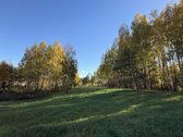 Parduodamas jaukus žemės ūkio paskirties - nuotraukos Nr. 13