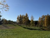 Parduodamas jaukus žemės ūkio paskirties - nuotraukos Nr. 17