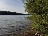 Parduodamas 2.5ha žemės ūkio paskirties