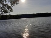 Parduodamas 2.5ha žemės ūkio paskirties - nuotraukos Nr. 2