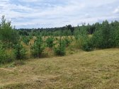 Parduodamas 2.5ha žemės ūkio paskirties - nuotraukos Nr. 9