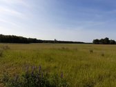 Parduodamas 2.5ha žemės ūkio paskirties - nuotraukos Nr. 10
