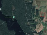Parduodamas 2.5ha žemės ūkio paskirties - nuotraukos Nr. 11