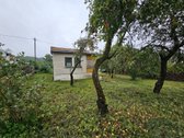 Parduodamas sodo namas SB „atžalynas“, - nuotraukos Nr. 4