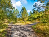 Parduodamas komercinės paskirties 3 ha - nuotraukos Nr. 6