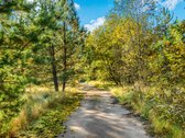 Parduodamas komercinės paskirties 3 ha - nuotraukos Nr. 7