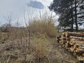Šermukšnių gatvėje parduodamas namų valdos - nuotraukos Nr. 6