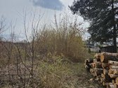 Šermukšnių gatvėje parduodamas namų valdos - nuotraukos Nr. 7