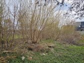 Šermukšnių gatvėje parduodamas namų valdos - nuotraukos Nr. 5