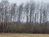Parduodami 2 sklypai Šilagalyje. Sklypai yra - nuotraukos Nr. 6