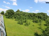 Unikalioje vietoje prie pėsčiųjų tilto į - nuotraukos Nr. 7