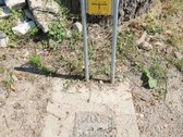 Unikalioje vietoje prie pėsčiųjų tilto į - nuotraukos Nr. 9