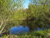 Širvintų r. sav., Babriškio k., žemės ūkio - nuotraukos Nr. 3