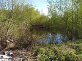 Širvintų r. sav., Babriškio k., žemės ūkio - nuotraukos Nr. 4