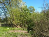 Širvintų r. sav., Babriškio k., žemės ūkio - nuotraukos Nr. 13
