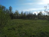 Širvintų r. sav., Babriškio k., žemės ūkio - nuotraukos Nr. 15