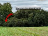Puikus pasiūlymas ieškantiems sklypo ramioje - nuotraukos Nr. 2