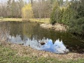 Parduodamas jaukus sodo sklypas su namuku - nuotraukos Nr. 5