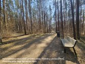 3 k. butas Pilaitėje: panorama į mišką, - nuotraukos Nr. 25