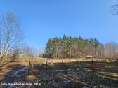 3 k. butas Pilaitėje: panorama į mišką, - nuotraukos Nr. 26