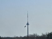 3 k. butas Pilaitėje: panorama į mišką, - nuotraukos Nr. 31