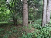 Parduodamas Namas Šalia Anykščių Labai - nuotraukos Nr. 27