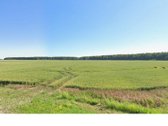 Parduodamas žemės ūkio paskirties sklypas, - nuotraukos Nr. 4