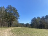 Parduodamas sklypas Druskininkuose, - nuotraukos Nr. 5