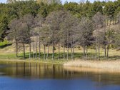 Alsakio slėnis – vieta, Jūsų poilsio rezidencijai - nuotraukos Nr. 14