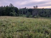 Per sklypą teka upelis Kamainė. - nuotraukos Nr. 3
