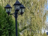  – Nt ekspertai be procentų - nuotraukos Nr. 37