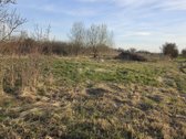 Parduodamas 12 a sodų sklypas Baisogaloje - nuotraukos Nr. 3