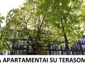 Parduodami nedideli apartamentai, įsikūrę