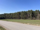 Sklypas ribojasi su Vytauto gatve, aplink - nuotraukos Nr. 15