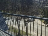 Gražioje ir ramioje Palangos miesto vietoje - nuotraukos Nr. 15