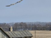 Parduodama , puoseleta,priziureta ir myleta - nuotraukos Nr. 6