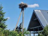Parduodama , puoseleta,priziureta ir myleta - nuotraukos Nr. 35