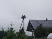 Parduodama , puoseleta,priziureta ir myleta - nuotraukos Nr. 40