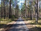 Išskirtinė vieta Vilniaus mieste: tylos ir - nuotraukos Nr. 2