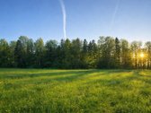 Parduodamas taisyklingos formos 30,16 arų - nuotraukos Nr. 17