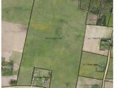 Parduodamas 21,57 ha žemės ūkio paskirties - nuotraukos Nr. 3