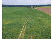 Parduodamas 21,57 ha žemės ūkio paskirties - nuotraukos Nr. 5