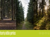 Naujas projektas „Miško sprintas“ – tai namai - nuotraukos Nr. 26
