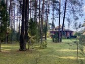Paruodamas namas su išskirtiniu 16,7 arų