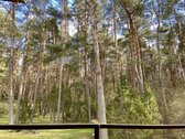 Paruodamas namas su išskirtiniu 16,7 arų - nuotraukos Nr. 7